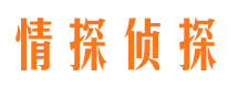 辰溪情探私家侦探公司